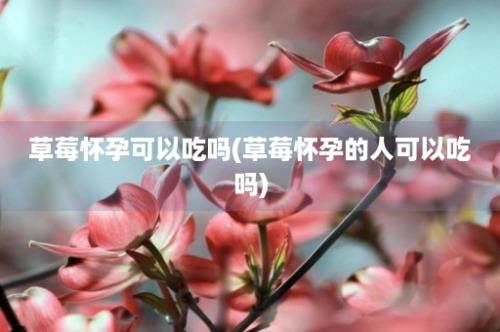 草莓怀孕可以吃吗(草莓怀孕的人可以吃吗)