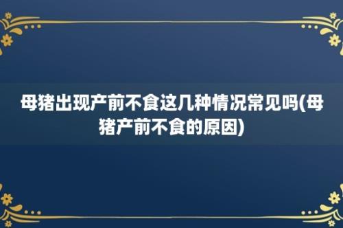 母猪出现产前不食这几种情况常见吗(母猪产前不食的原因)