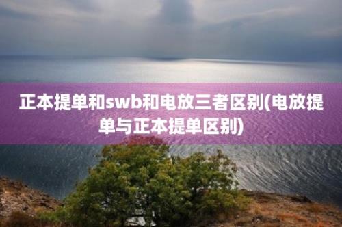 正本提单和swb和电放三者区别(电放提单与正本提单区别)