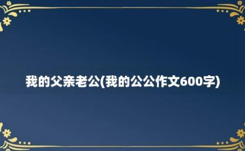 我的父亲老公(我的公公作文600字)