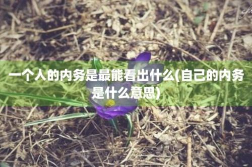 一个人的内务是最能看出什么(自己的内务是什么意思)