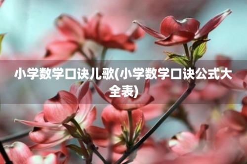 小学数学口诀儿歌(小学数学口诀公式大全表)