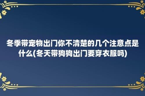 冬季带宠物出门你不清楚的几个注意点是什么(冬天带狗狗出门要穿衣服吗)