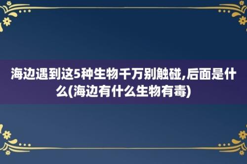 海边遇到这5种生物千万别触碰,后面是什么(海边有什么生物有毒)