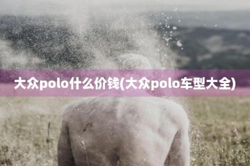 大众polo什么价钱(大众polo车型大全)