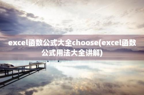 excel函数公式大全choose(excel函数公式用法大全讲解)