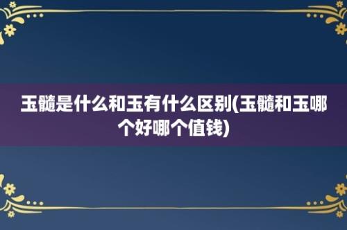 玉髓是什么和玉有什么区别(玉髓和玉哪个好哪个值钱)