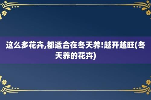 这么多花卉,都适合在冬天养!越开越旺(冬天养的花卉)