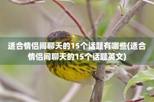 适合情侣间聊天的15个话题有哪些(适合情侣间聊天的15个话题英文)