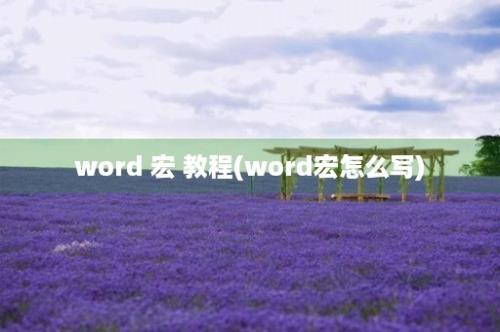 word 宏 教程(word宏怎么写)