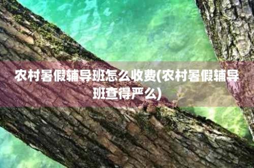 农村暑假辅导班怎么收费(农村暑假辅导班查得严么)