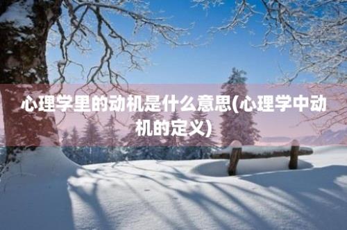 心理学里的动机是什么意思(心理学中动机的定义)