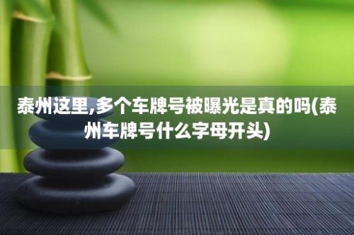 泰州这里,多个车牌号被曝光是真的吗(泰州车牌号什么字母开头)