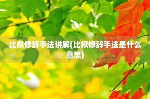 比拟修辞手法讲解(比拟修辞手法是什么意思)