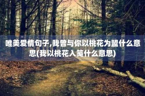 唯美爱情句子,我曾与你以桃花为盟什么意思(我以桃花入笺什么意思)