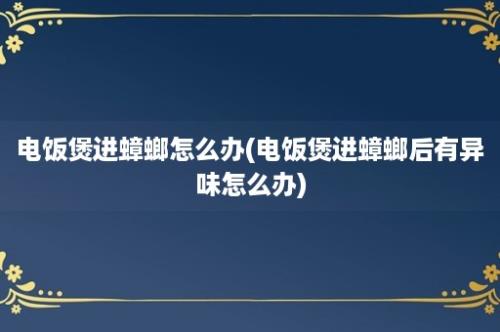 电饭煲进蟑螂怎么办(电饭煲进蟑螂后有异味怎么办)