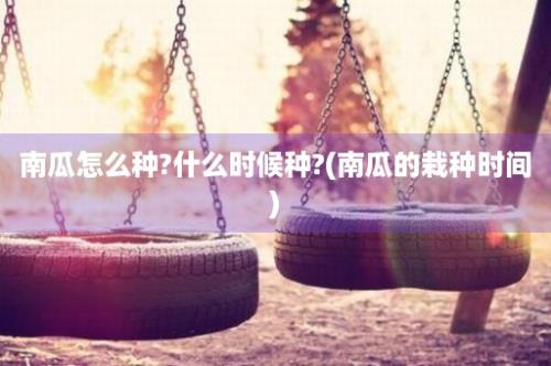 南瓜怎么种?什么时候种?(南瓜的栽种时间)