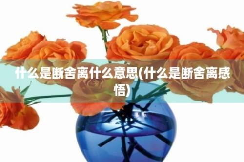 什么是断舍离什么意思(什么是断舍离感悟)