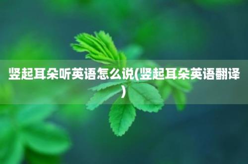 竖起耳朵听英语怎么说(竖起耳朵英语翻译)