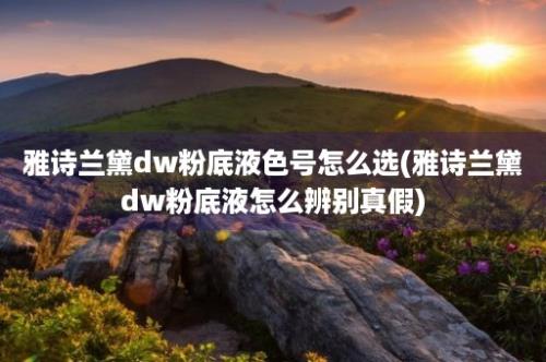 雅诗兰黛dw粉底液色号怎么选(雅诗兰黛dw粉底液怎么辨别真假)