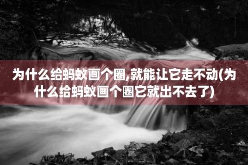 为什么给蚂蚁画个圈,就能让它走不动(为什么给蚂蚁画个圈它就出不去了)