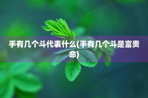 手有几个斗代表什么(手有几个斗是富贵命)