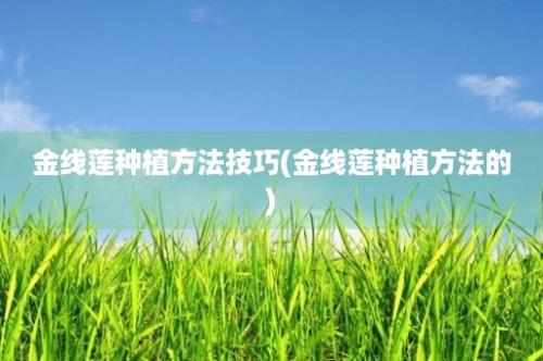 金线莲种植方法技巧(金线莲种植方法的)