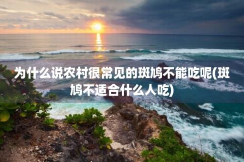 为什么说农村很常见的斑鸠不能吃呢(斑鸠不适合什么人吃)