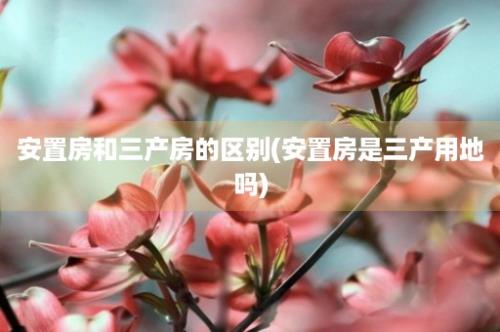 安置房和三产房的区别(安置房是三产用地吗)