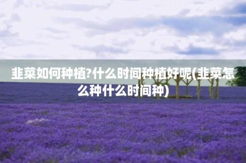 韭菜如何种植?什么时间种植好呢(韭菜怎么种什么时间种)