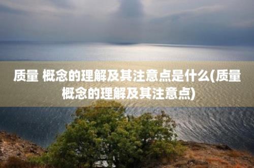 质量 概念的理解及其注意点是什么(质量 概念的理解及其注意点)