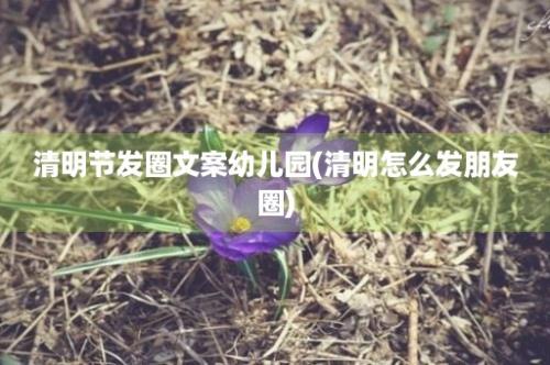 清明节发圈文案幼儿园(清明怎么发朋友圈)