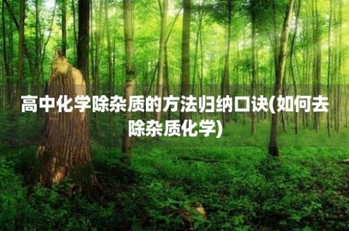 高中化学除杂质的方法归纳口诀(如何去除杂质化学)