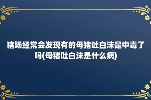 猪场经常会发现有的母猪吐白沫是中毒了吗(母猪吐白沫是什么病)