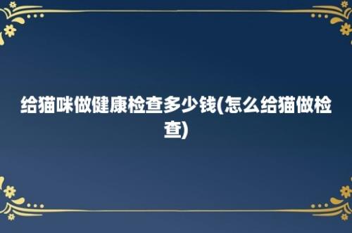 给猫咪做健康检查多少钱(怎么给猫做检查)