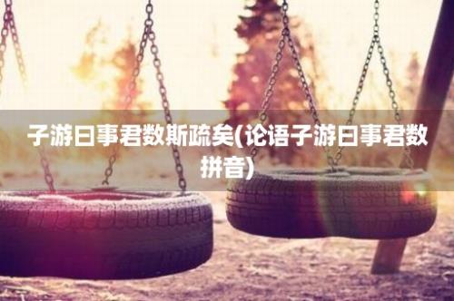 子游曰事君数斯疏矣(论语子游曰事君数拼音)