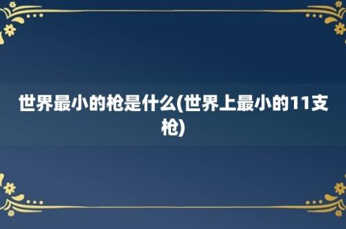 世界最小的枪是什么(世界上最小的11支枪)