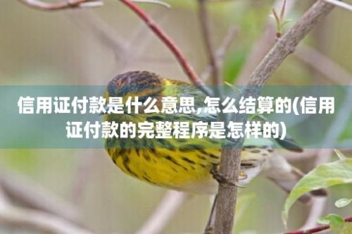 信用证付款是什么意思,怎么结算的(信用证付款的完整程序是怎样的)