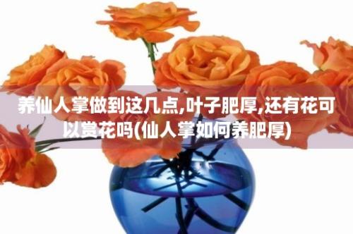 养仙人掌做到这几点,叶子肥厚,还有花可以赏花吗(仙人掌如何养肥厚)