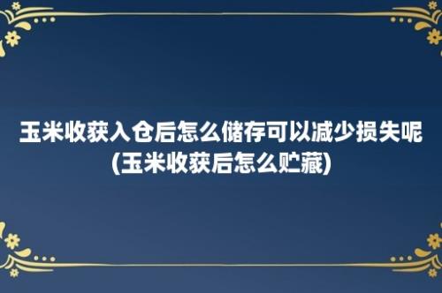 玉米收获入仓后怎么储存可以减少损失呢(玉米收获后怎么贮藏)