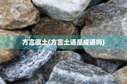 方言很土(方言土语是成语吗)