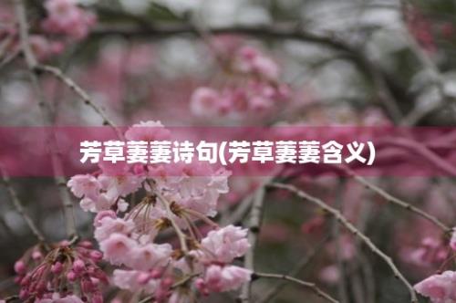 芳草萋萋诗句(芳草萋萋含义)