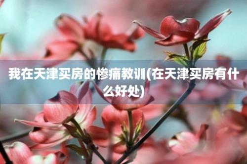 我在天津买房的惨痛教训(在天津买房有什么好处)