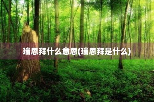 瑞思拜什么意思(瑞思拜是什么)