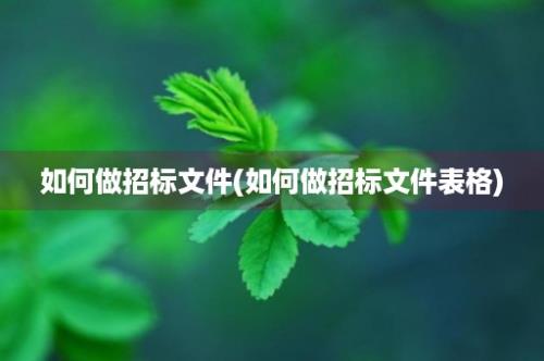 如何做招标文件(如何做招标文件表格)