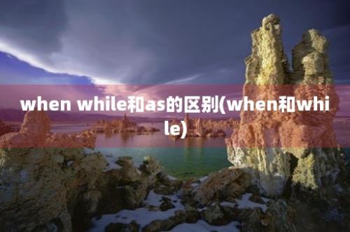 when while和as的区别(when和while)