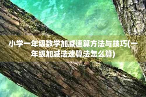 小学一年级数学加减速算方法与技巧(一年级加减法速算法怎么算)