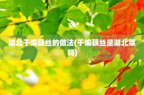 湖北干煸藕丝的做法(干煸藕丝是湖北菜吗)