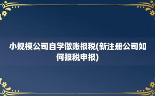 小规模公司自学做账报税(新注册公司如何报税申报)