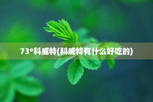 73°科威特(科威特有什么好吃的)